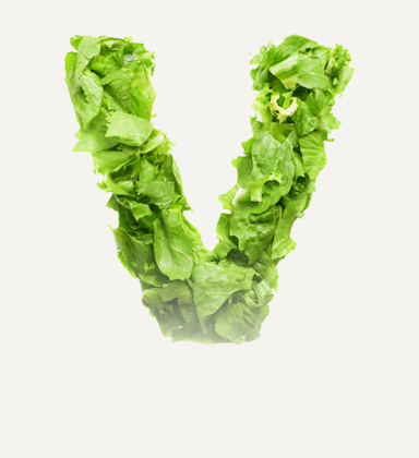 Vegan lifestyle