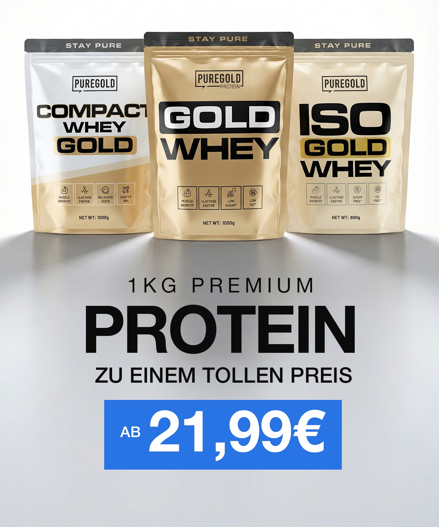 V1 - PROTEIN